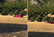 Na konjskim utrkama u Hercegovini, automobilom gazio ljude! Počinitelj u bijegu, uhićeni pomagači