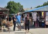 Sumještani ogorčeni zbog požara: „Ovo je zločin širokih razmjera“, „Više volim boraviti u pećini!“ (video)