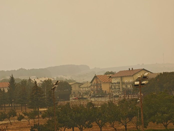 pozar - dim tg.2jpg