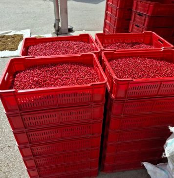 🔴 Otkup gloga i šipka – Tomislavgrad i okolica 🔴