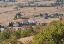Pozitivna priča iz Hercegovine: Trojica braće zajedno grade uspješan posao