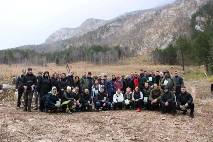 Boranka-810x540