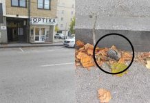 Ponovno pronađena bomba ispred dopisništva RTV Herceg-Bosne u Kiseljaku