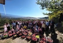 U posjetu Guginom voćnjaku