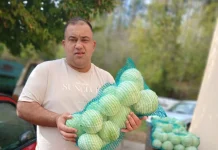 Od početnika do 30 tona kupusa: Jure Petrović za godinu dana proširio proizvodnju