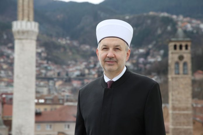 nedzad-grabus-reis